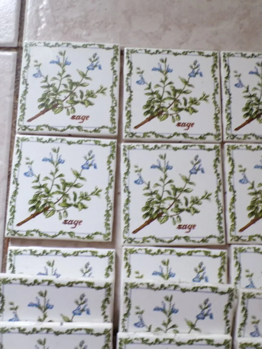 8 JEFFREY COURT Botanical Herb Tiles Sage USA New